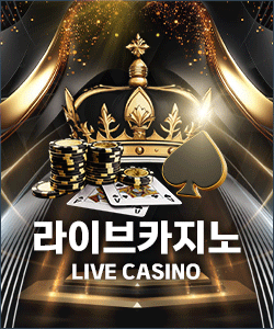 라이브 카지노
